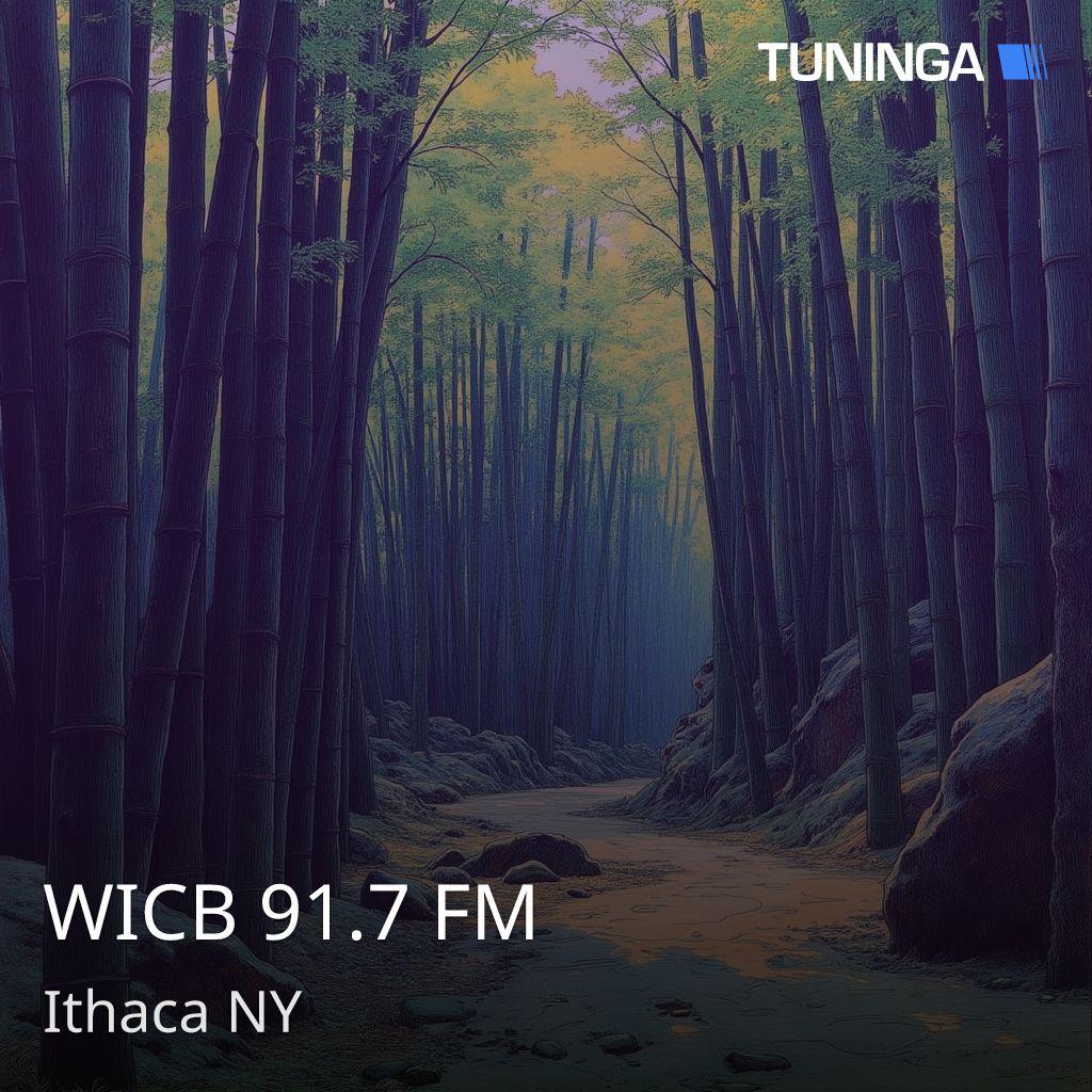 WICB 91.7 FM