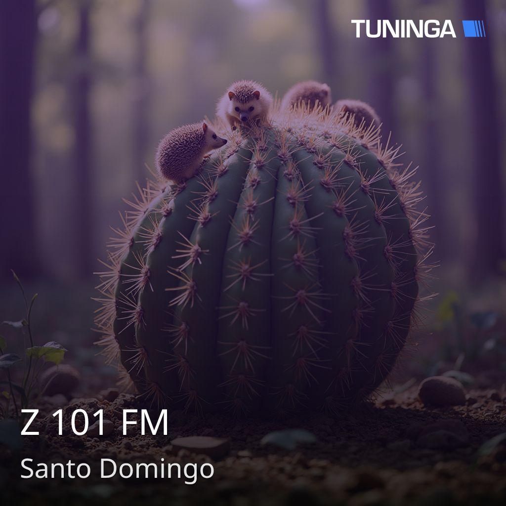 Z 101 FM