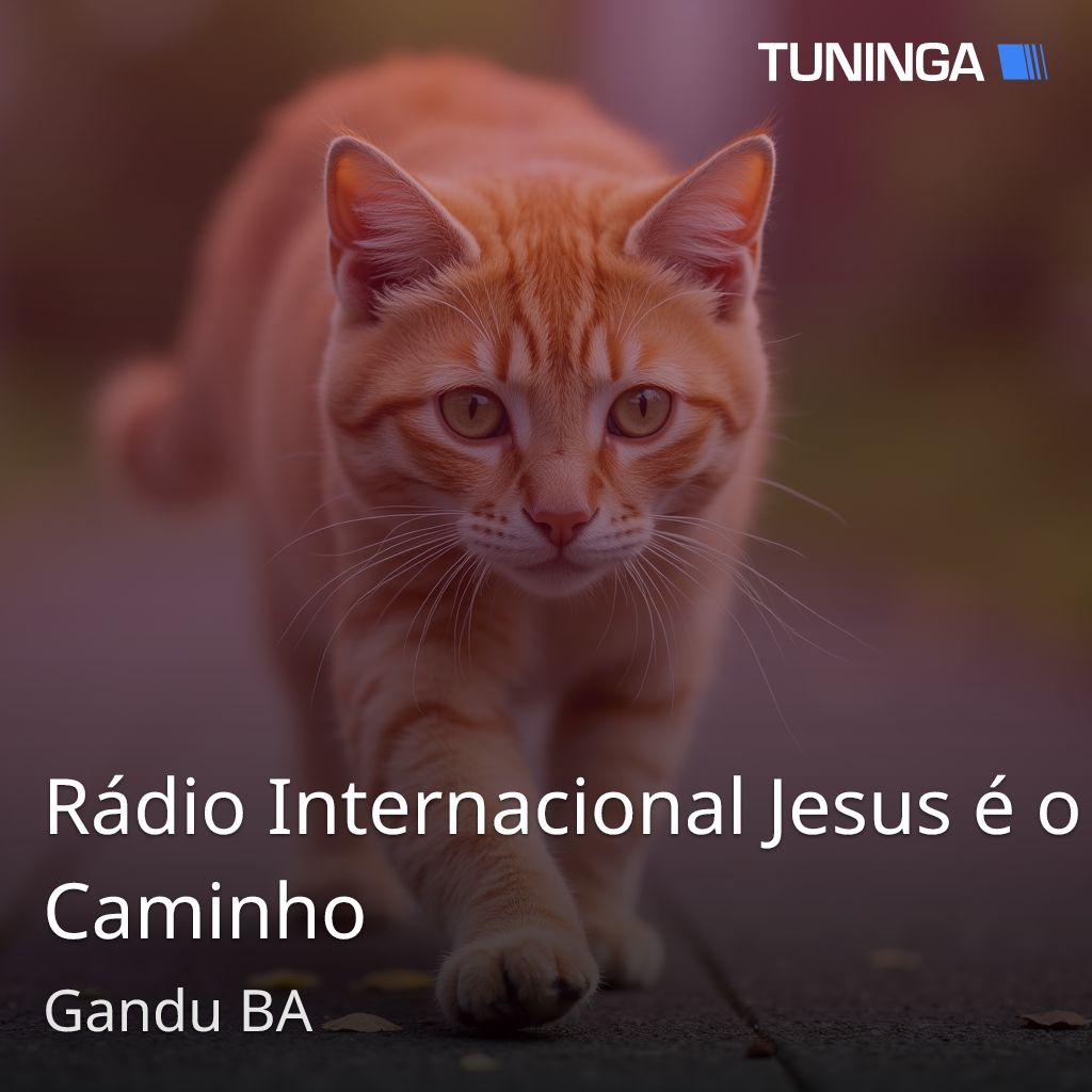 Rádio Internacional Jesus é o Caminho