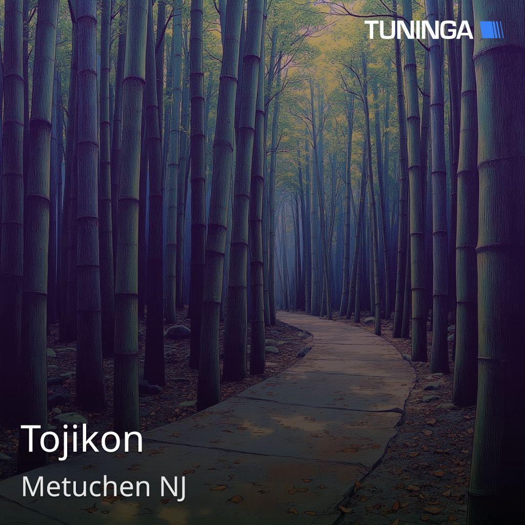 Tojikon