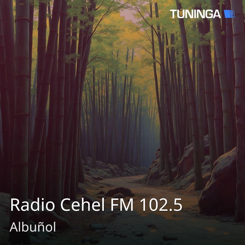 Radio Cehel FM 102.5
