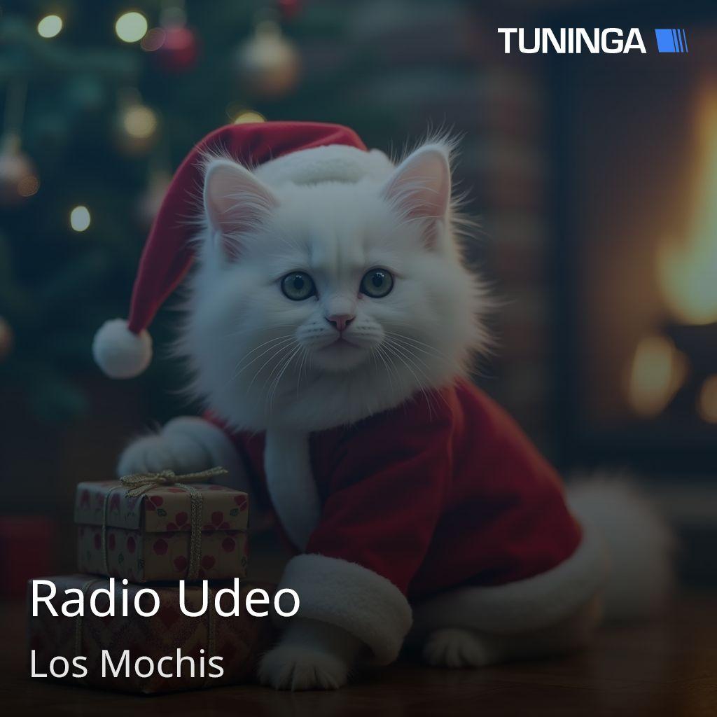 Radio Udeo