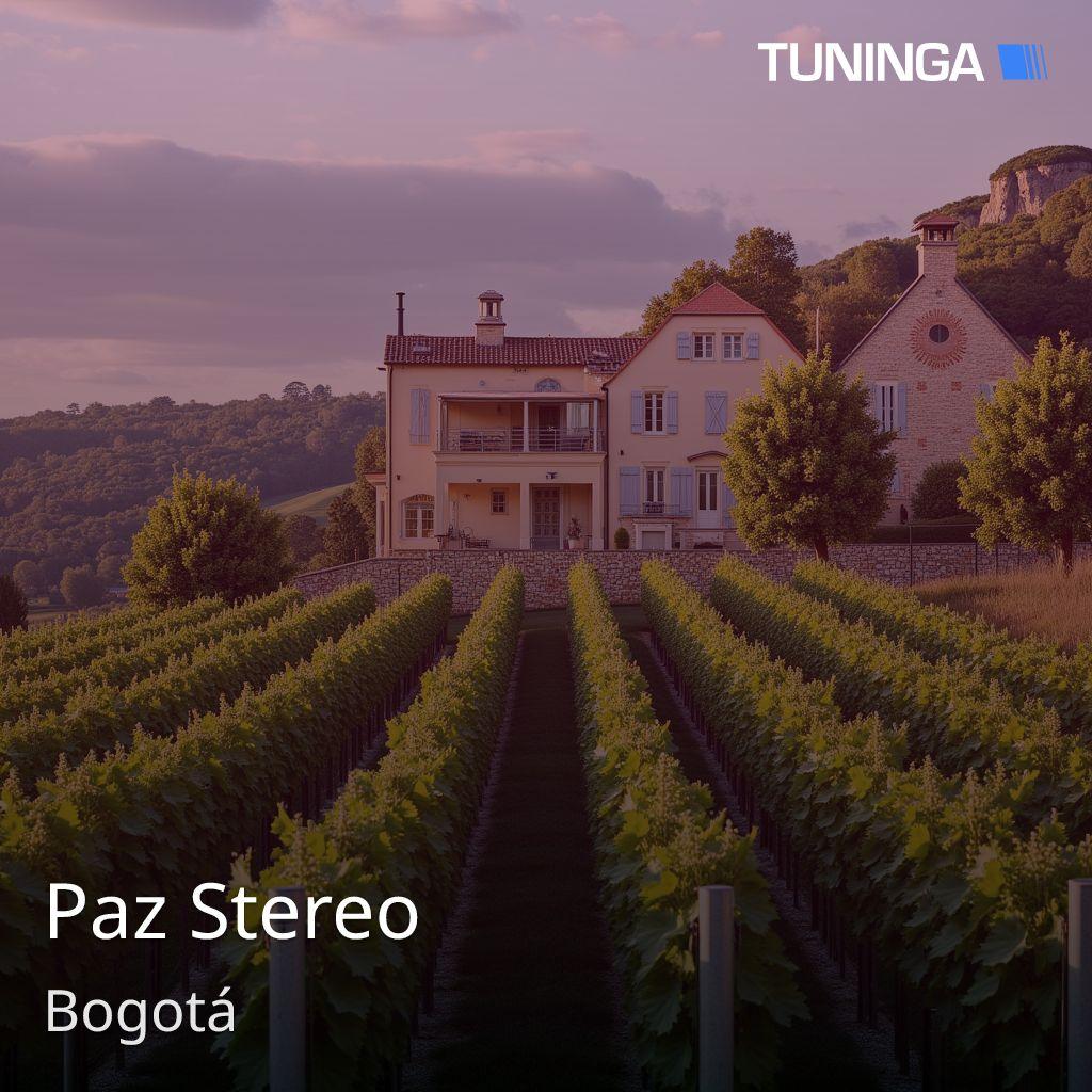 Paz Stereo