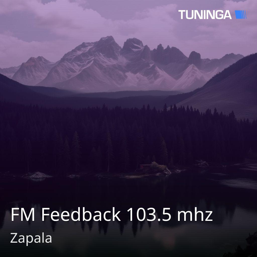 FM Feedback 103.5 mhz