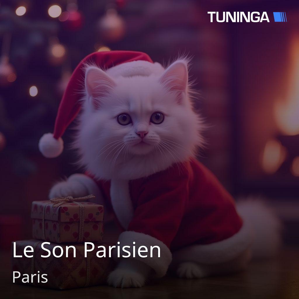 Le Son Parisien
