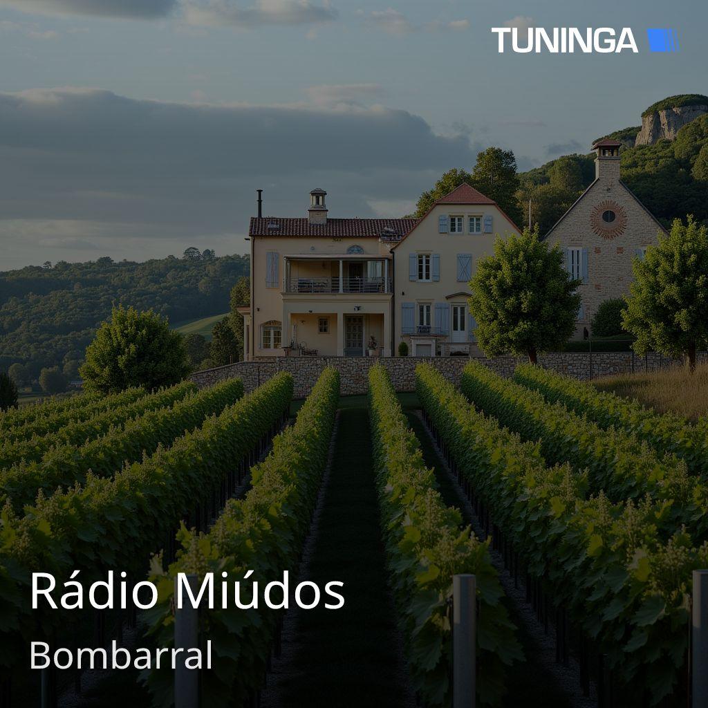 Rádio Miúdos