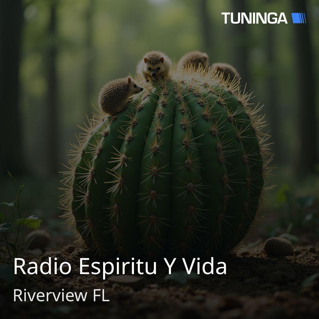 Radio Espiritu Y Vida