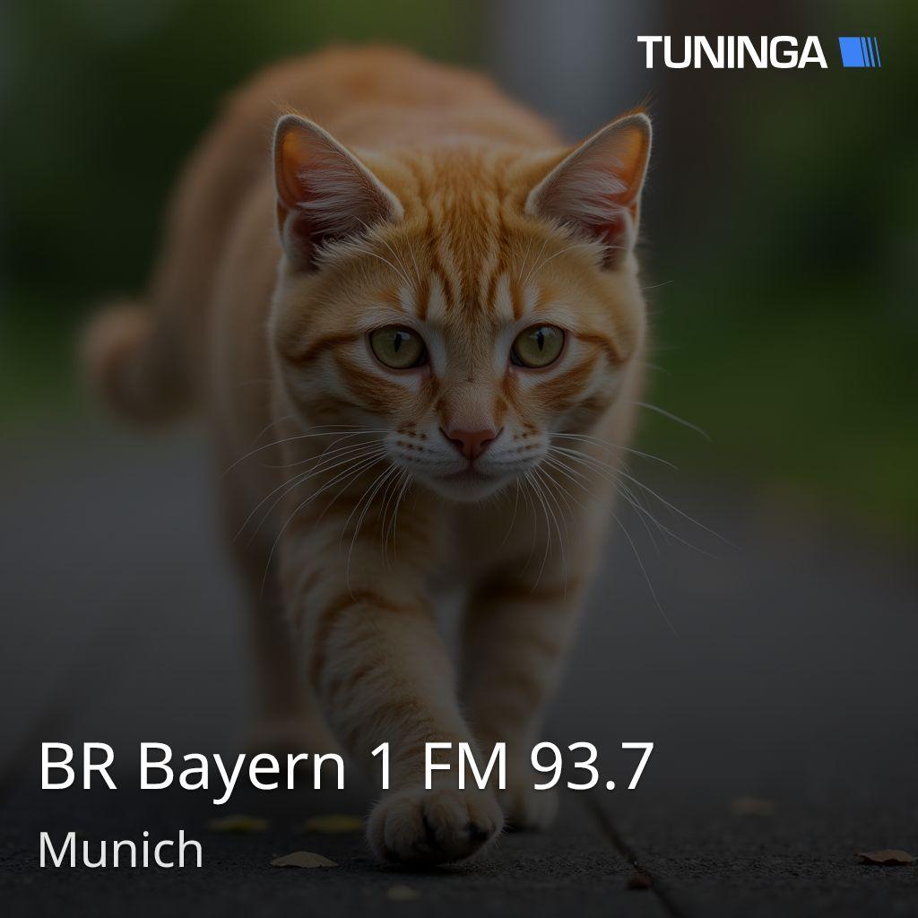 BR Bayern 1 FM 93.7