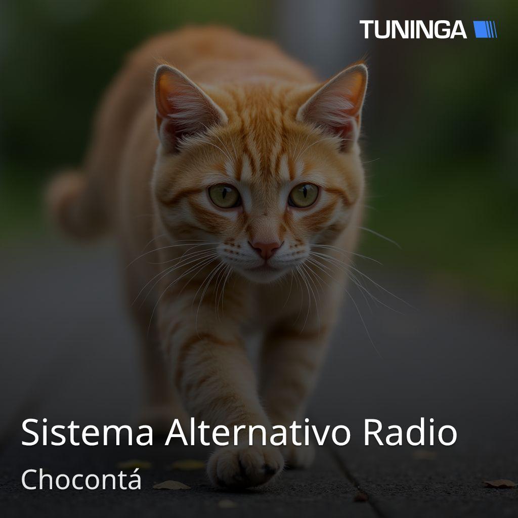 Sistema Alternativo Radio