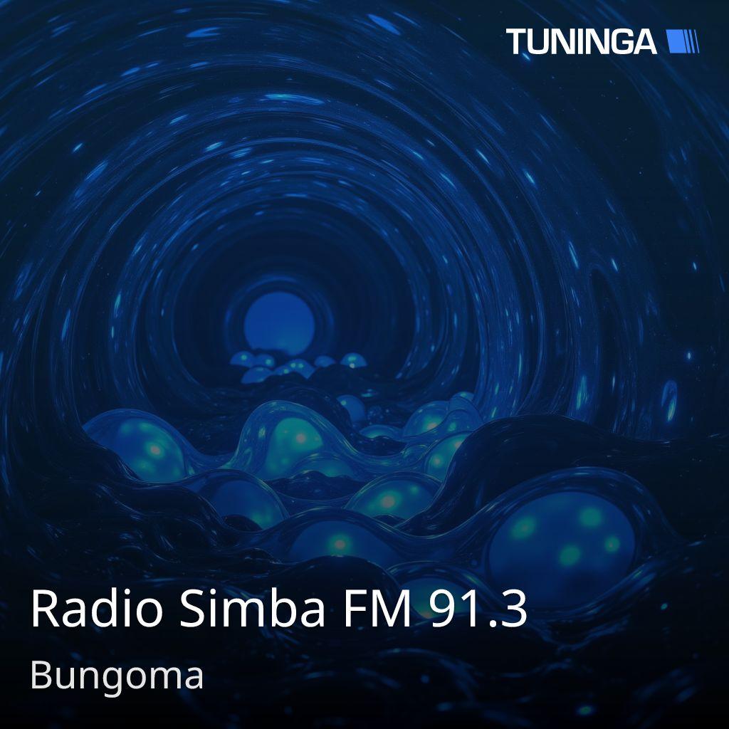 Radio Simba FM 91.3