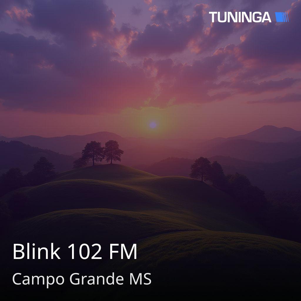 Blink 102 FM