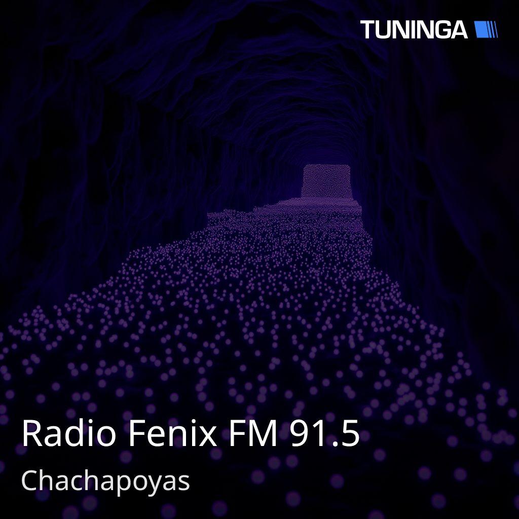 Radio Fenix FM 91.5