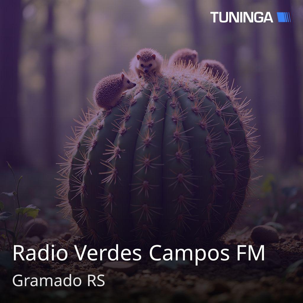 Radio Verdes Campos FM