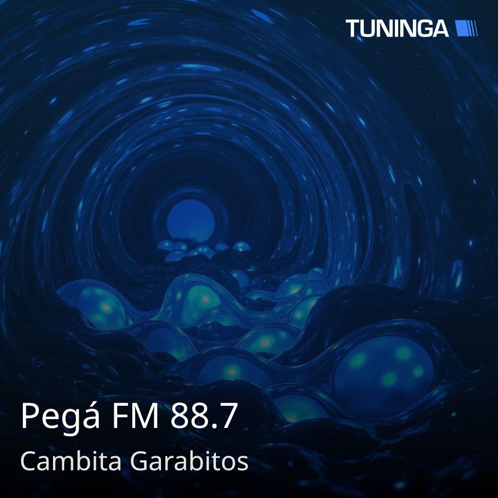 Pegá FM 88.7
