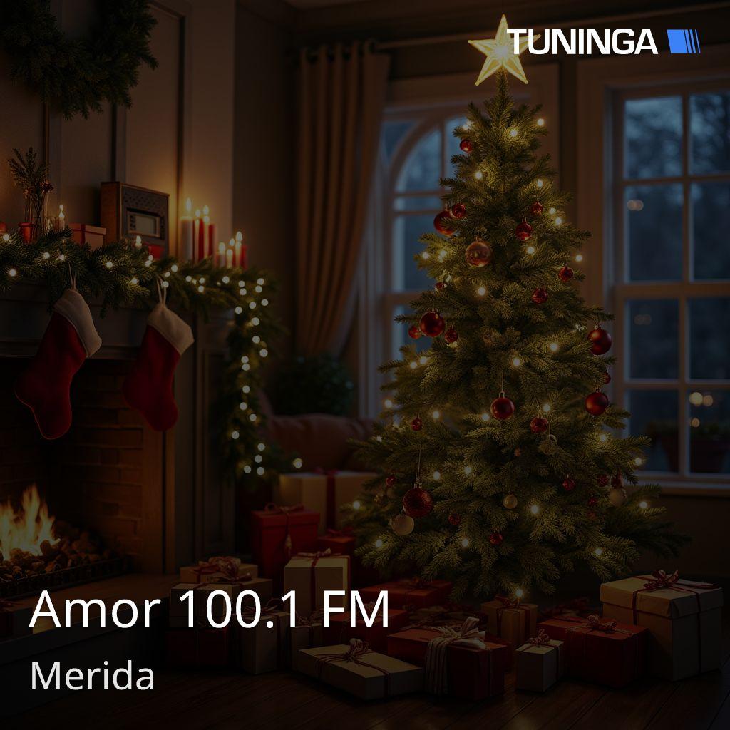 Amor 100.1 FM