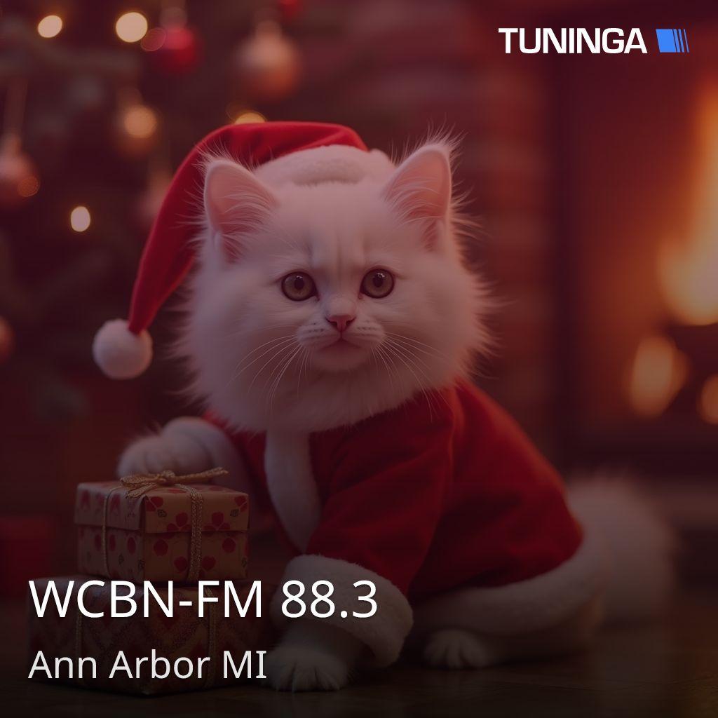 WCBN-FM 88.3