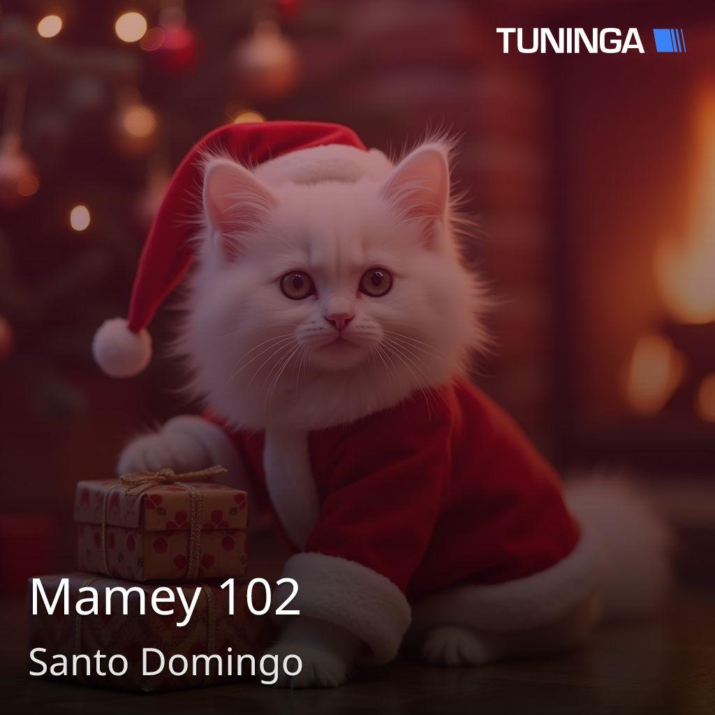 Mamey 102