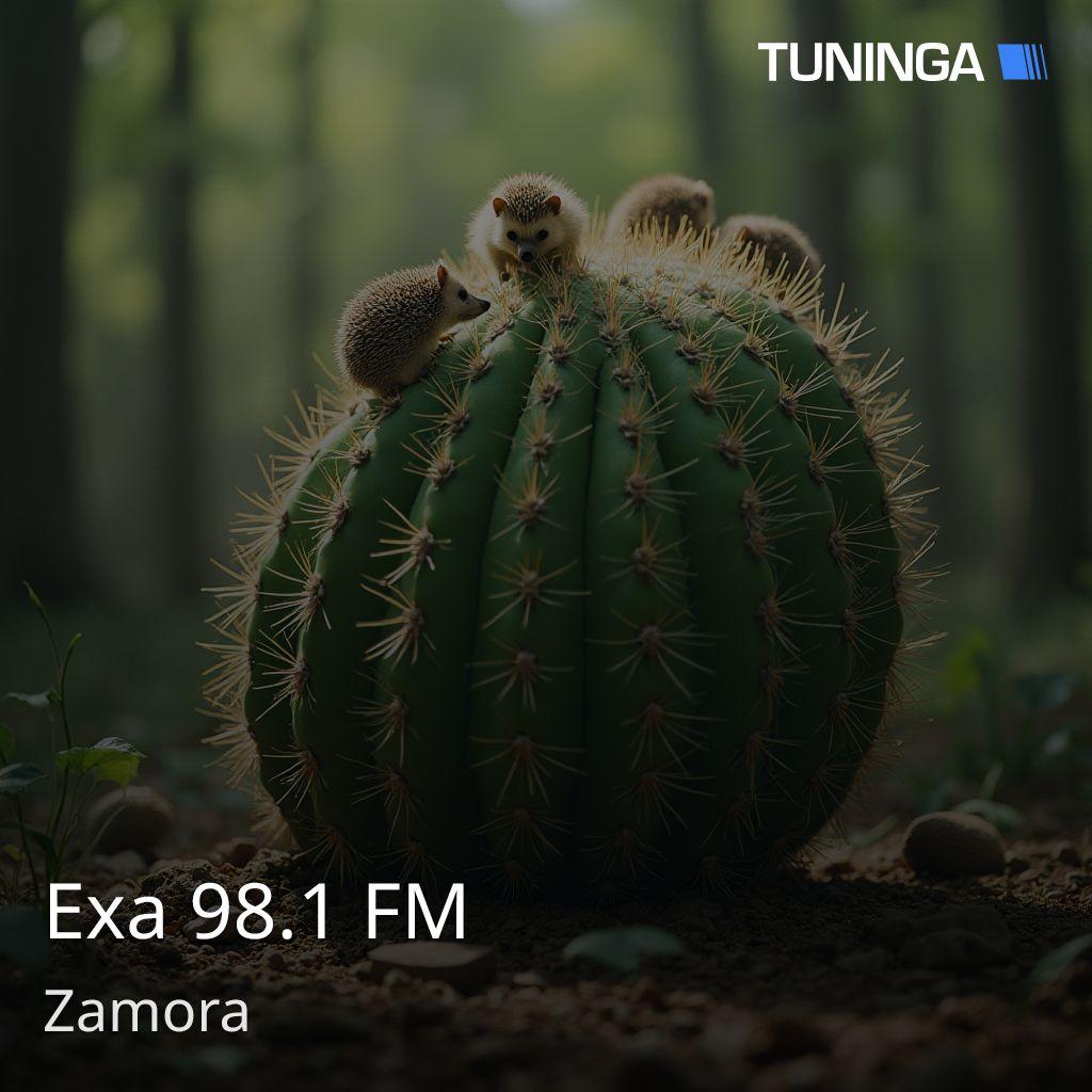 Exa 98.1 FM