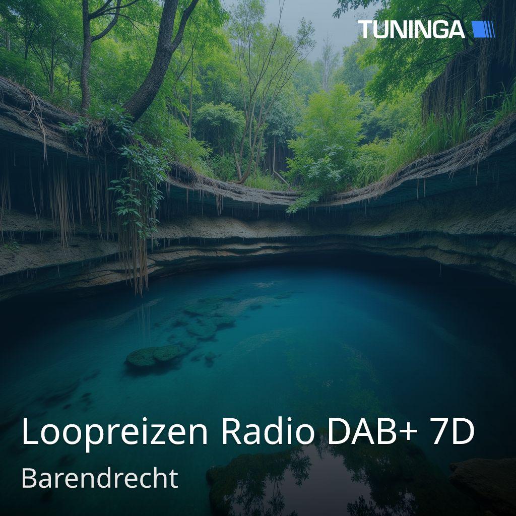 Loopreizen Radio DAB+ 7D