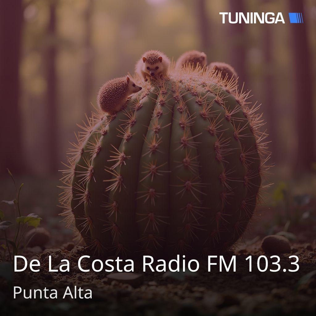 De La Costa Radio FM 103.3