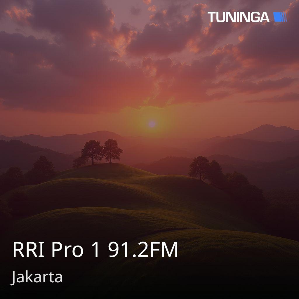 RRI Pro 1 91.2FM