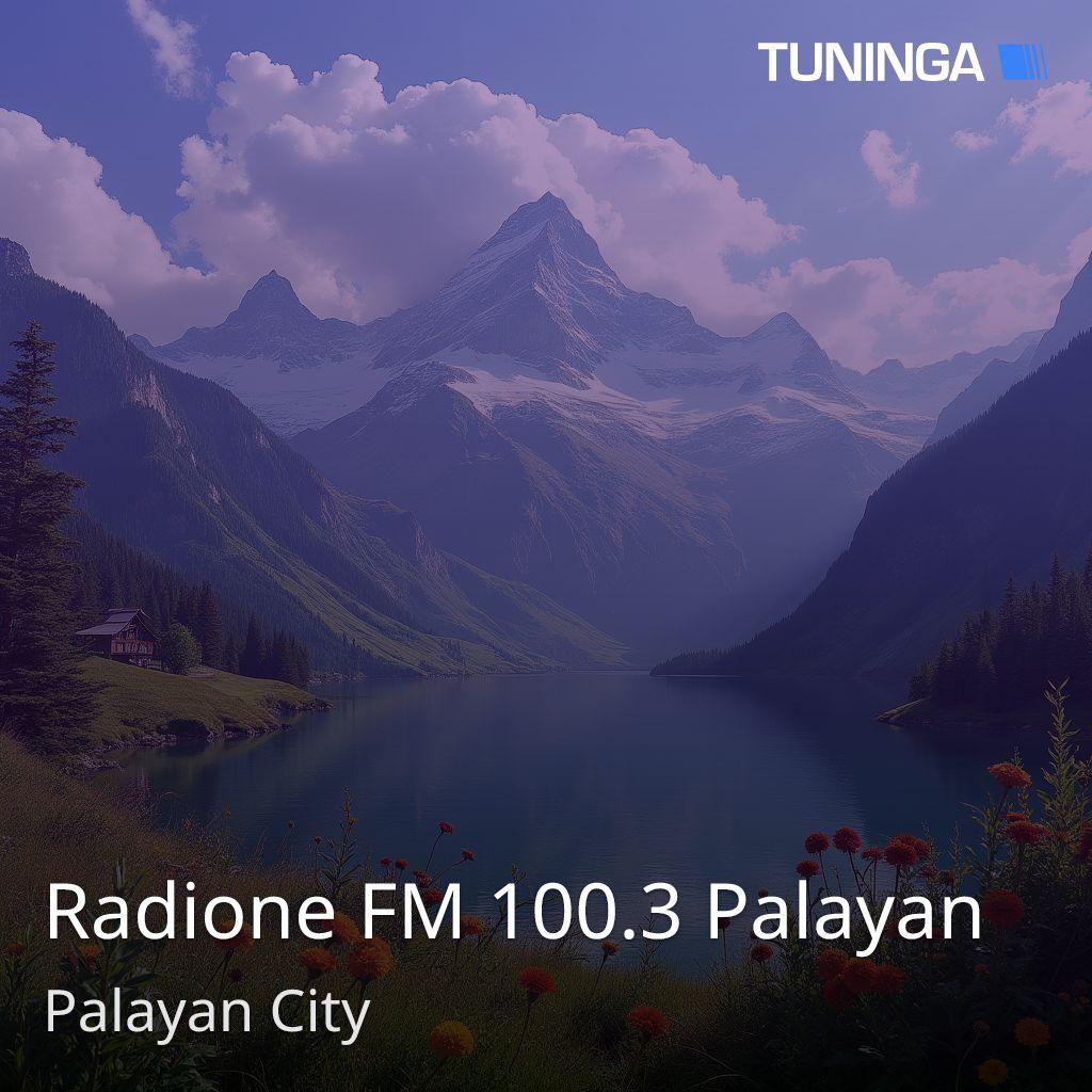 Radione FM 100.3 Palayan