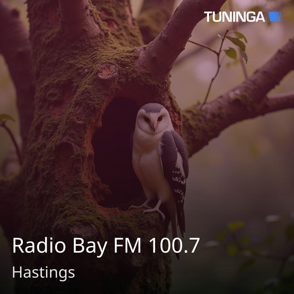Radio Bay FM 100.7