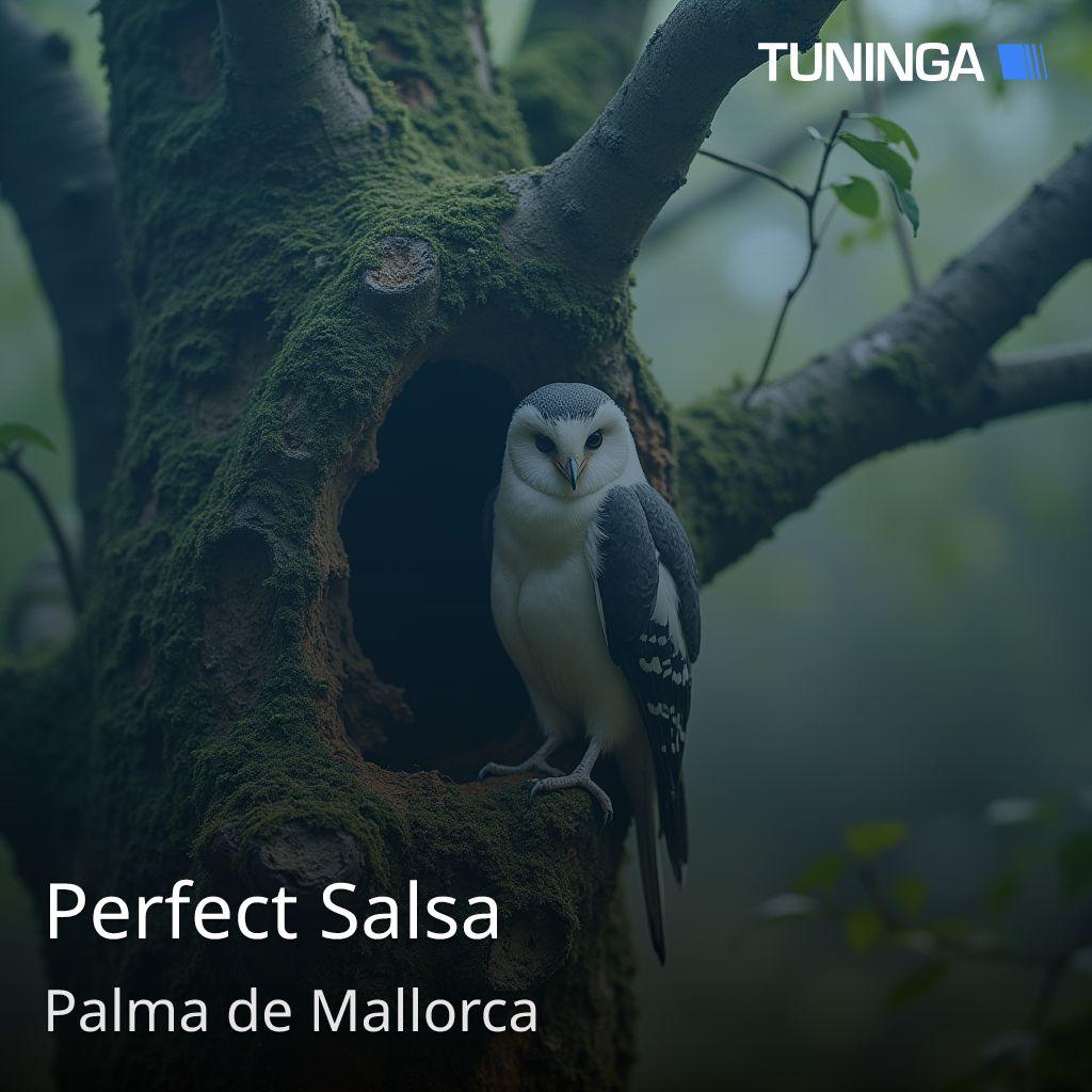 Perfect Salsa