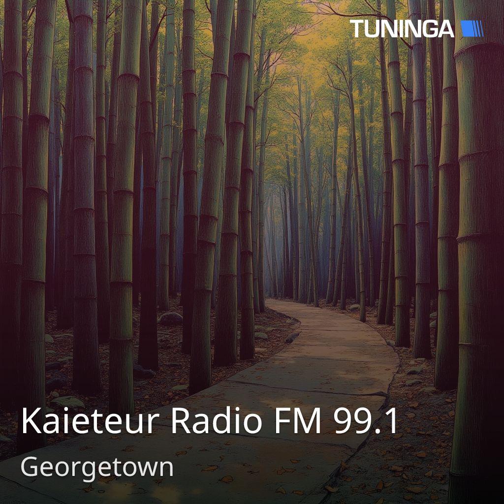 Kaieteur Radio FM 99.1