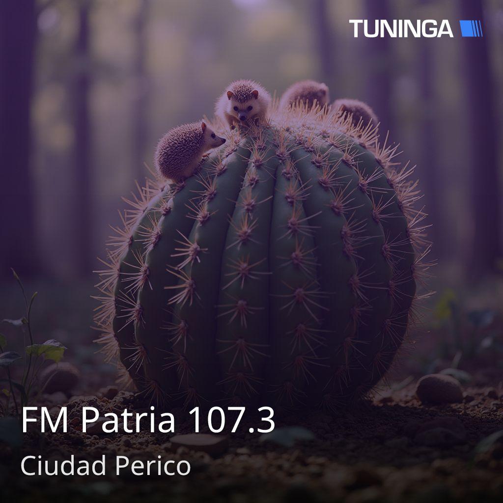 FM Patria 107.3
