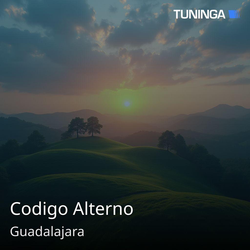 Codigo Alterno
