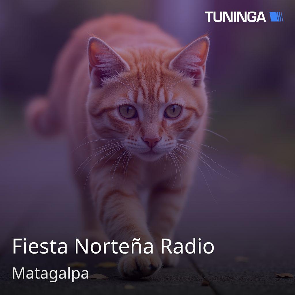 Fiesta Norteña Radio