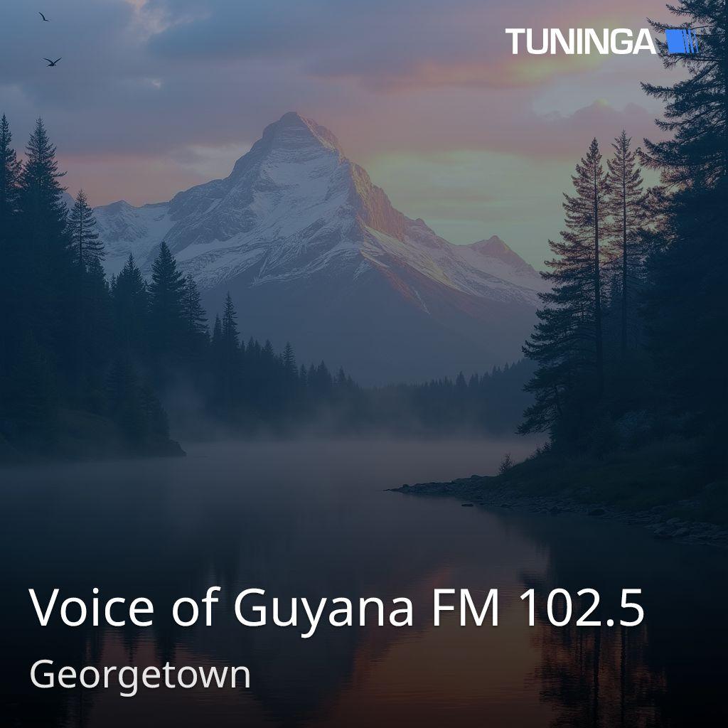 Voice of Guyana FM 102.5
