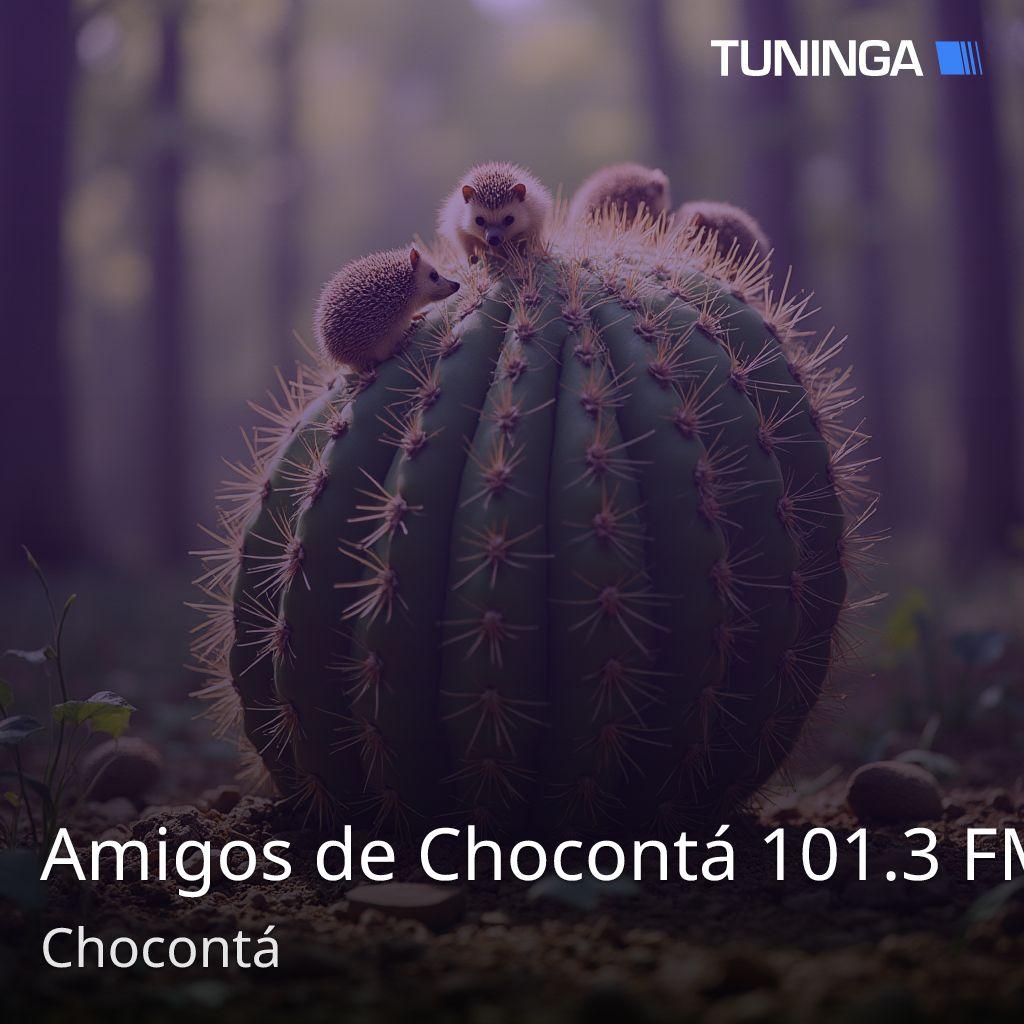 Amigos de Chocontá 101.3 FM