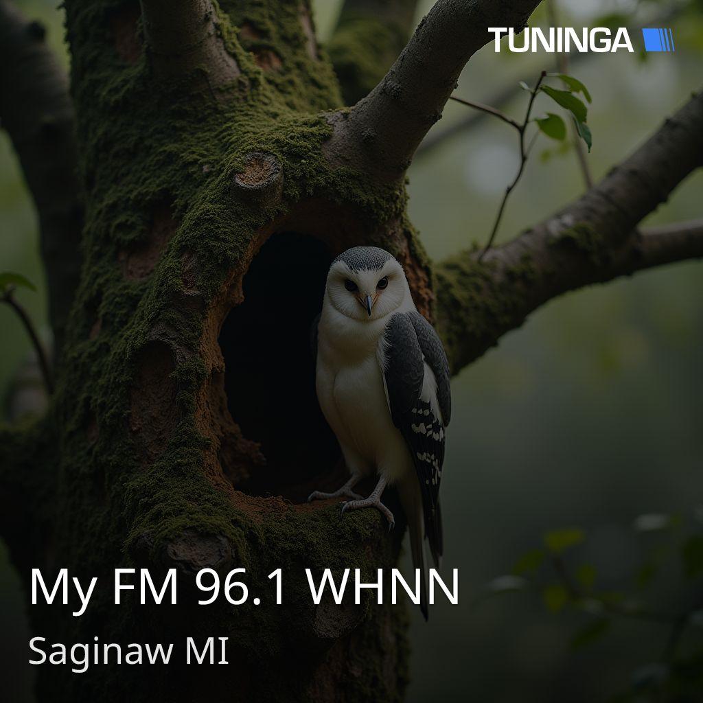 My FM 96.1 WHNN