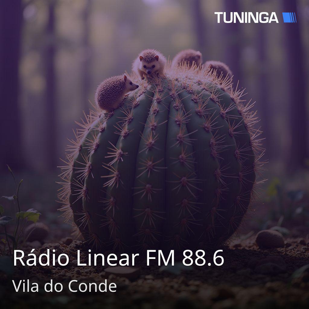 Rádio Linear FM 88.6