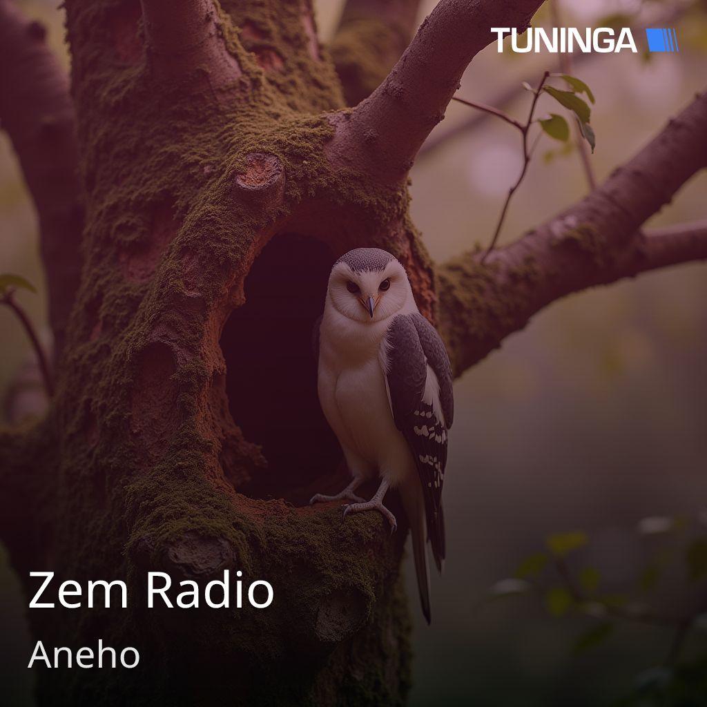 Zem Radio