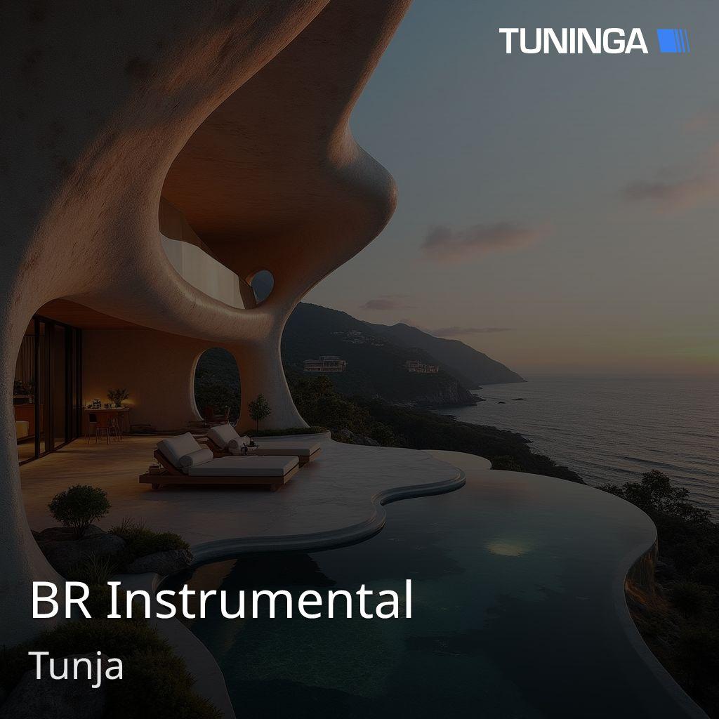 BR Instrumental