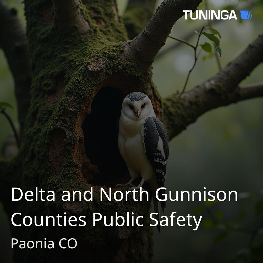 Delta and North Gunnison Counties Public Safety