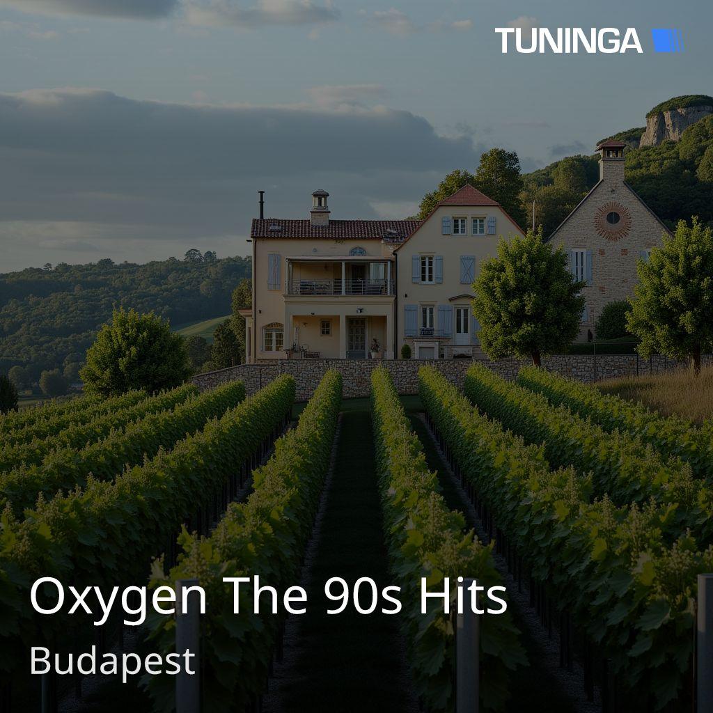 Oxygen The 90s Hits
