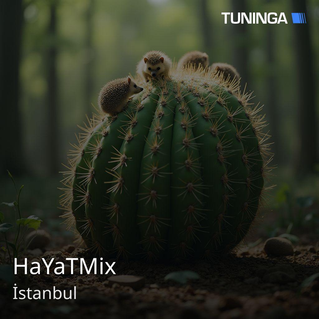 HaYaTMix