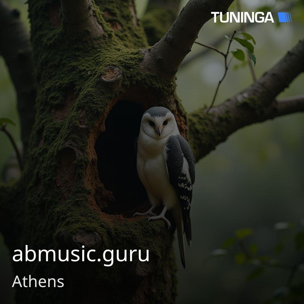 abmusic.guru