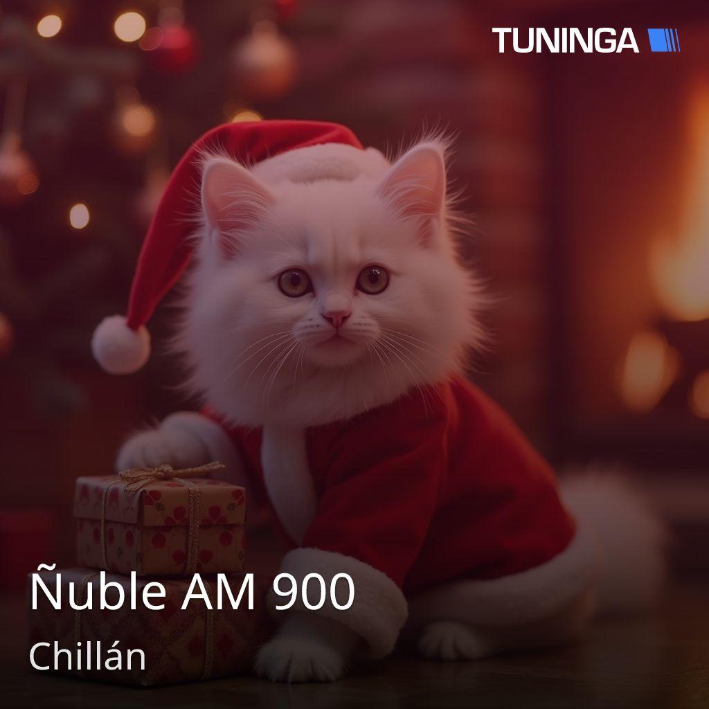 Ñuble AM 900