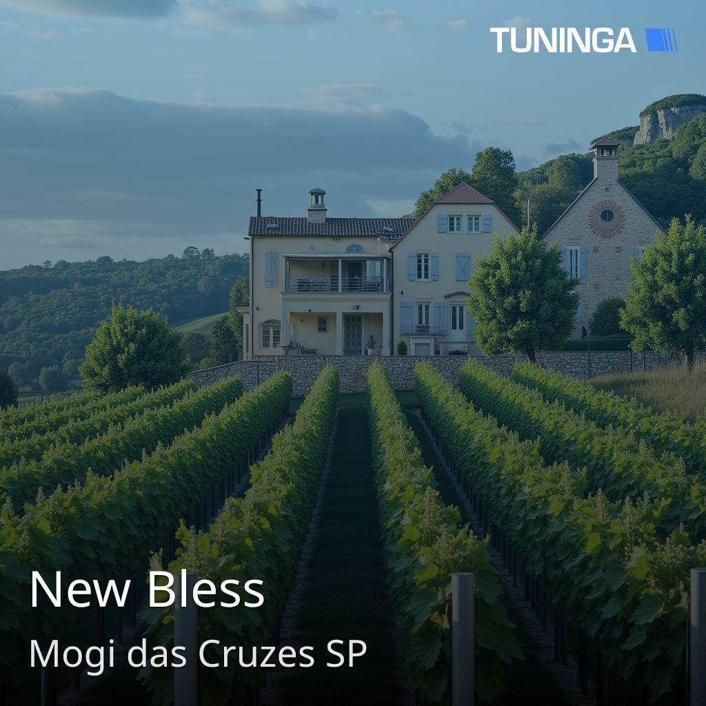 New Bless