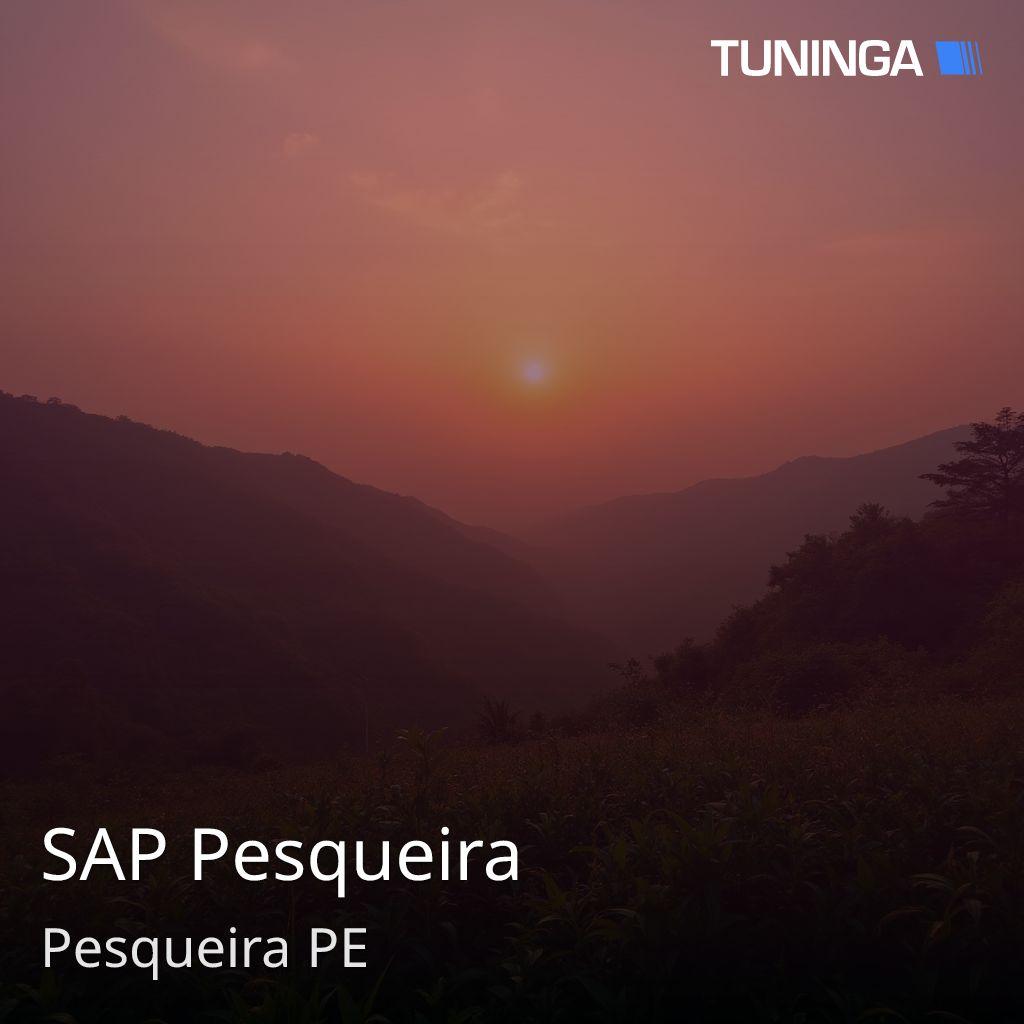 SAP Pesqueira