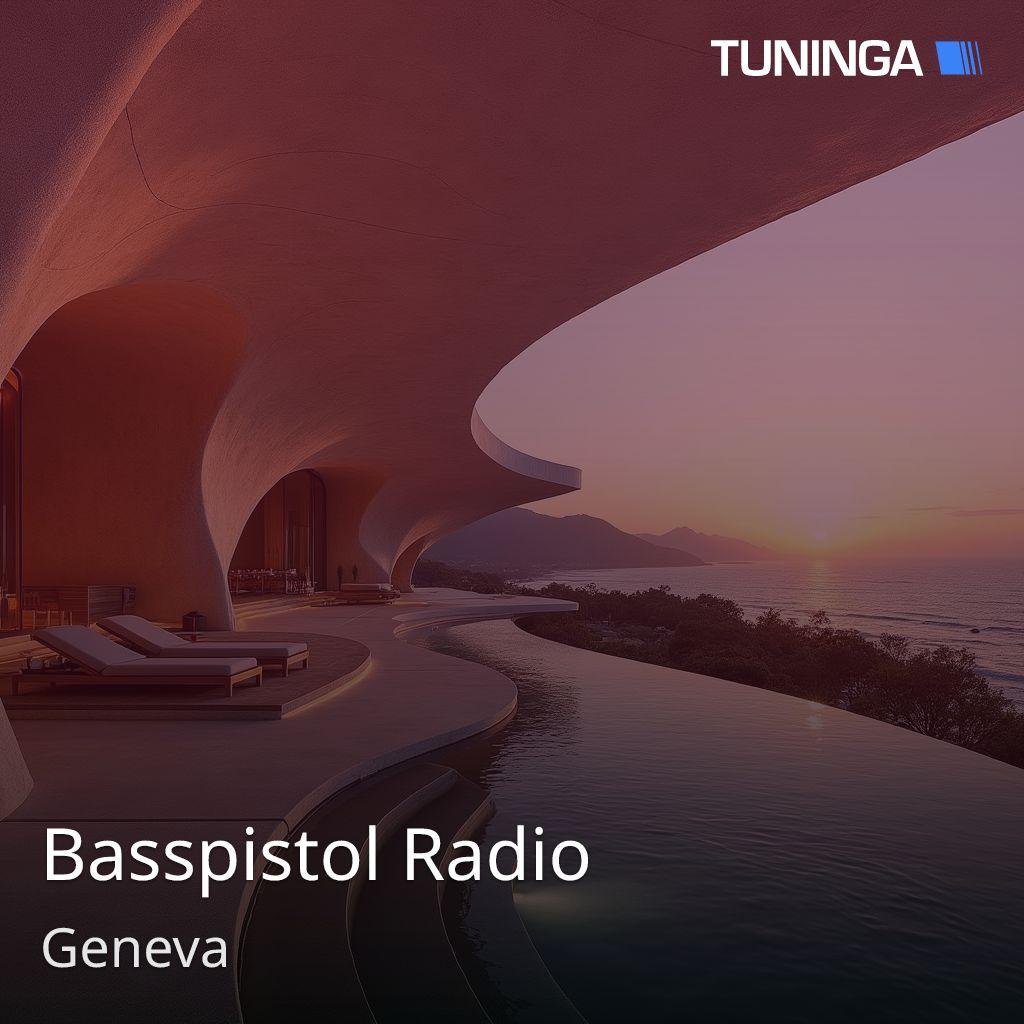 Basspistol Radio