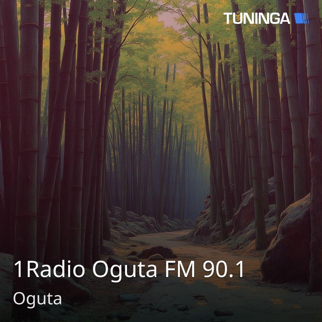 1Radio Oguta FM 90.1