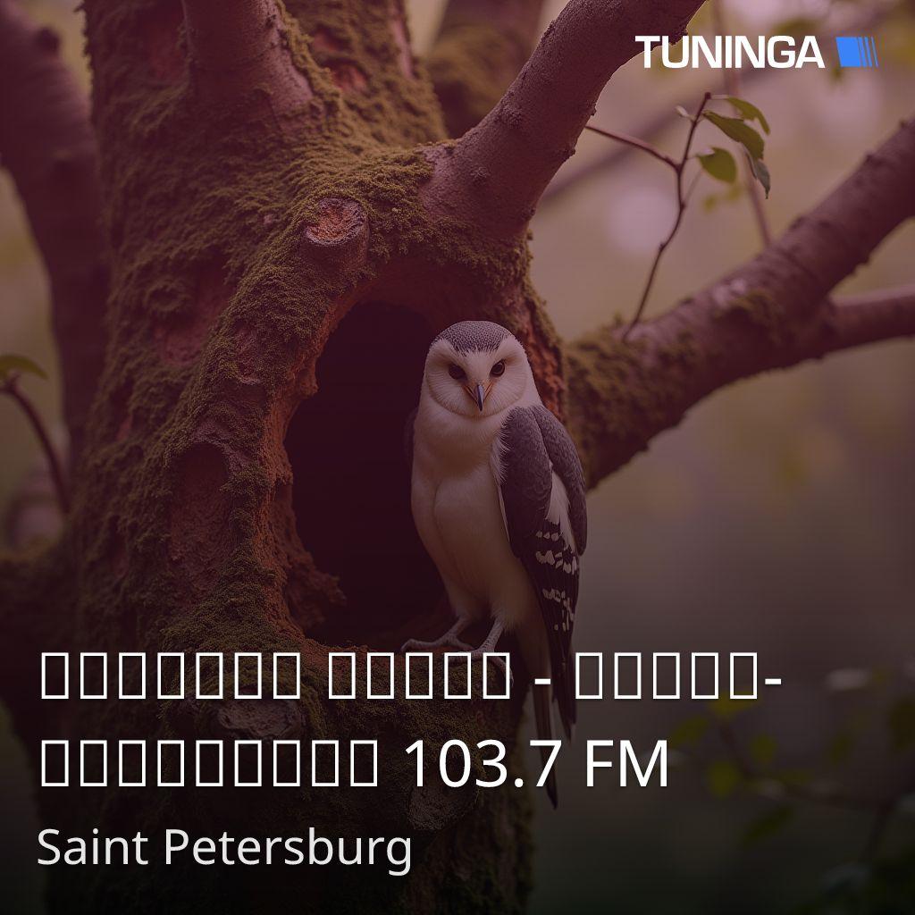 Детское Радио - Санкт-Петербург 103.7 FM