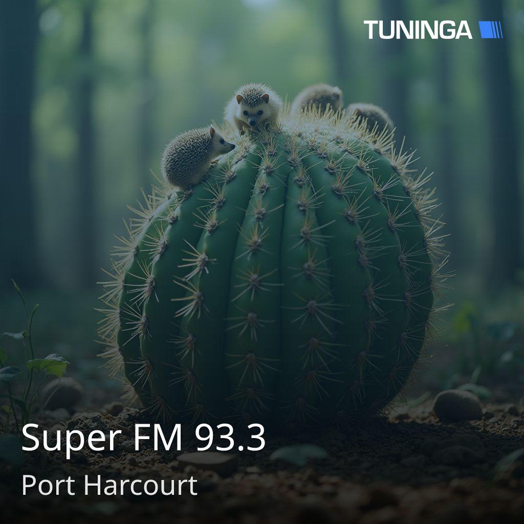 Super FM 93.3
