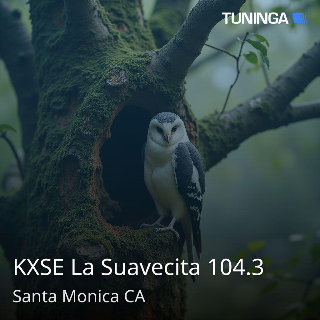 KXSE La Suavecita 104.3